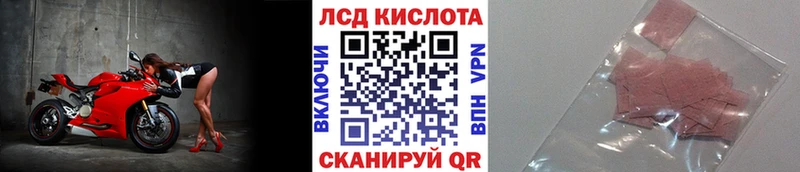 Марки N-bome 1500мкг  darknet Telegram  Калтан 