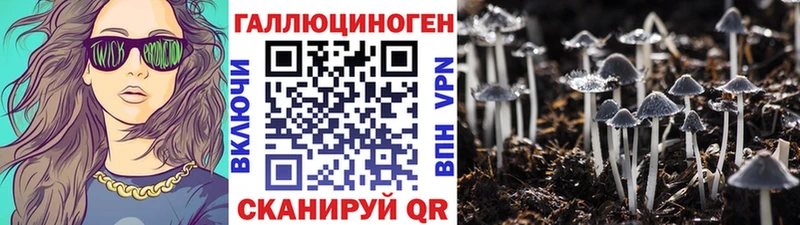 Галлюциногенные грибы MAGIC MUSHROOMS  сколько стоит  Калтан 
